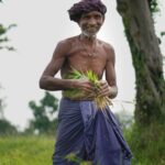 An Indian farmer smiles while holding young crops in a lush green field, showcasing rural life.
